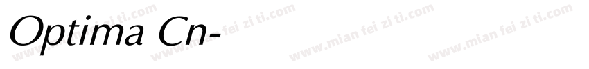 Optima Cn字体转换